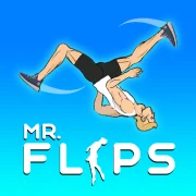 Mr Flip game artwork