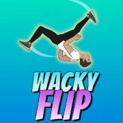 Wacky Flip game artwork